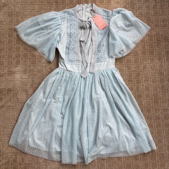 Ivy City Co Kate Dress Women's M Light Blue Flutter Sleeves Swiss Dot Whimsy NWT - Picture 2 of 9